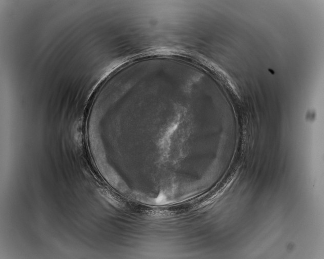 X0000099411170200805301339