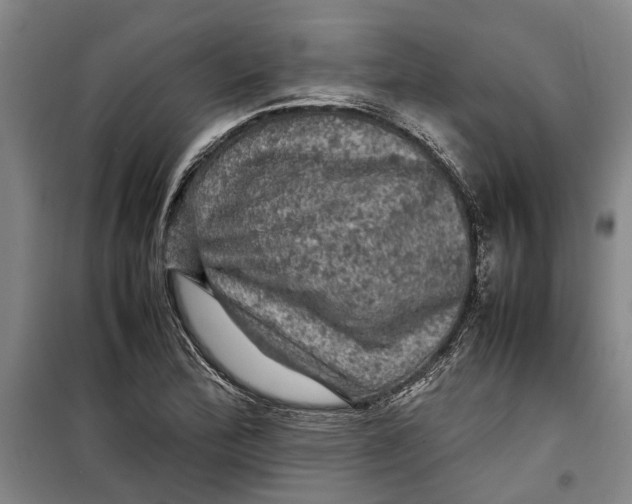 X0000099411172200805301339