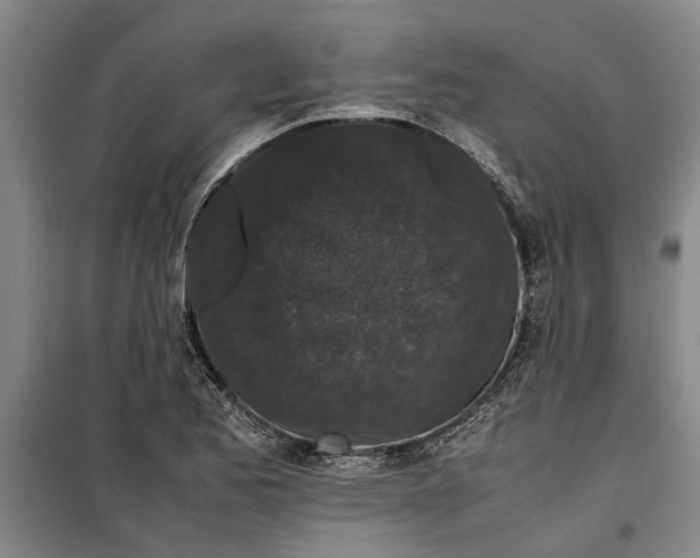 X0000099411173200805301339