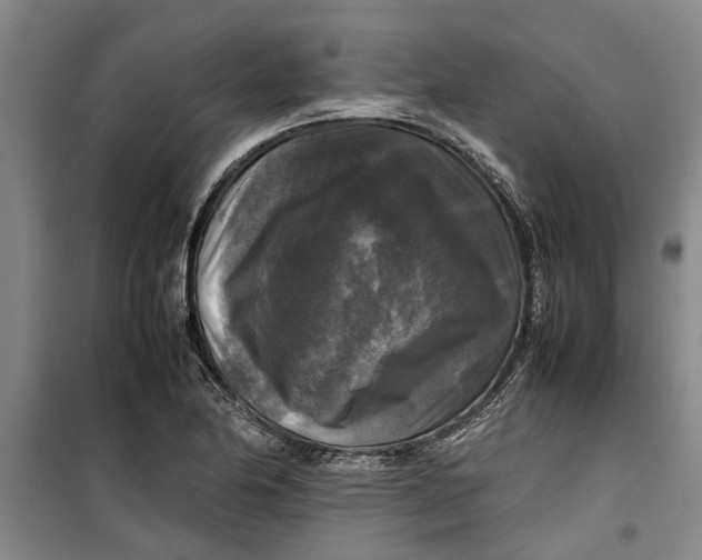 X0000099411174200805301339