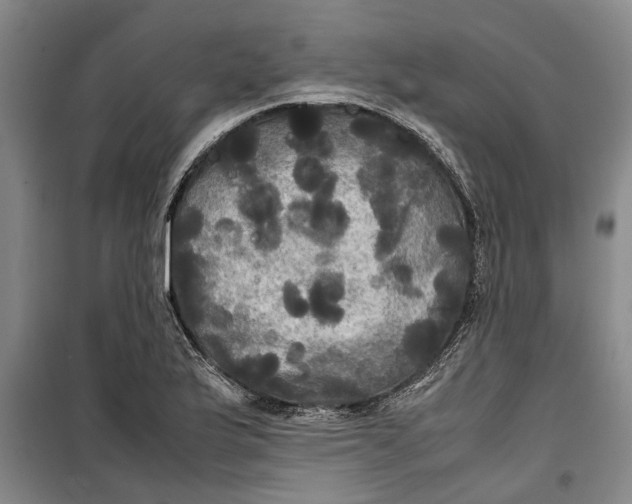 X0000099411175200805301339