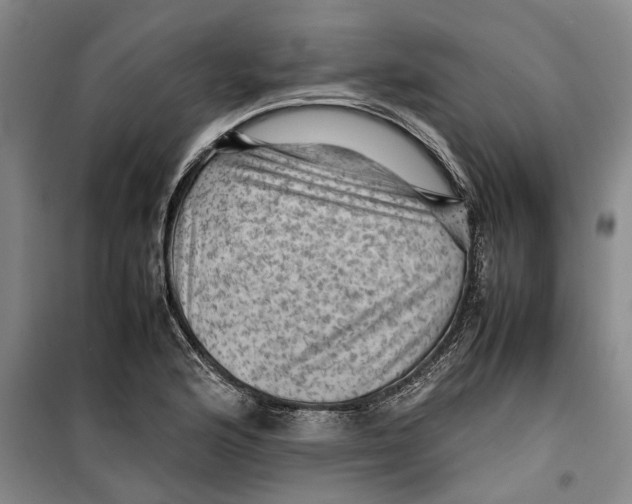 X0000099411176200805301339