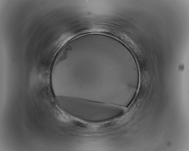 X0000099411177200805301339