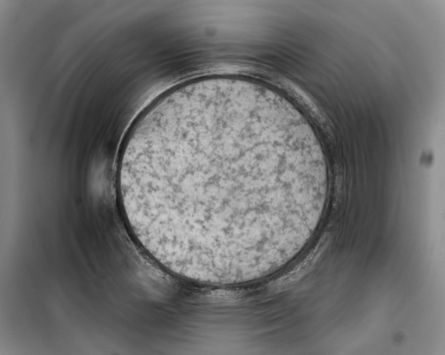 X0000099411178200805301339