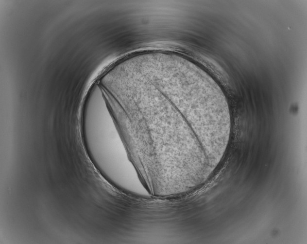 X0000099411180200805301339