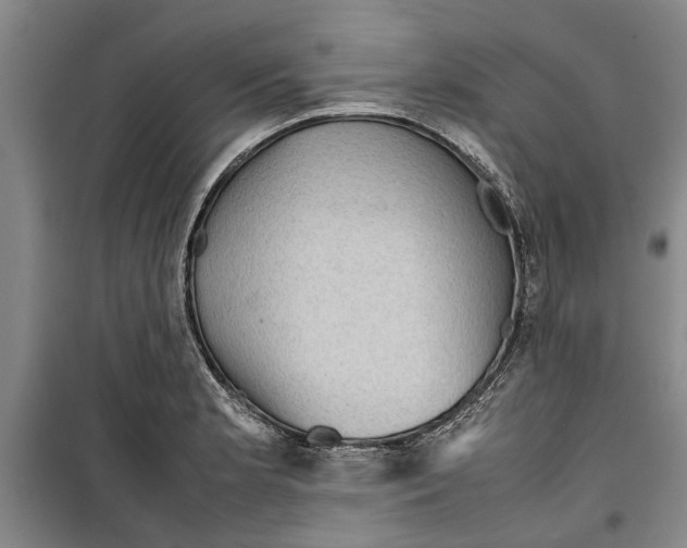 X0000099411181200805301339