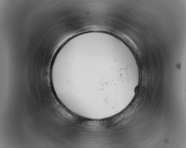 X0000099411182200805301339