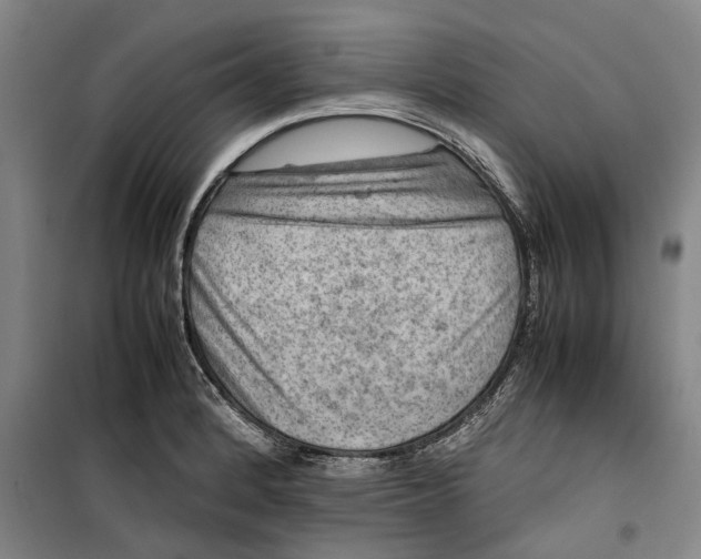 X0000099411184200805301339