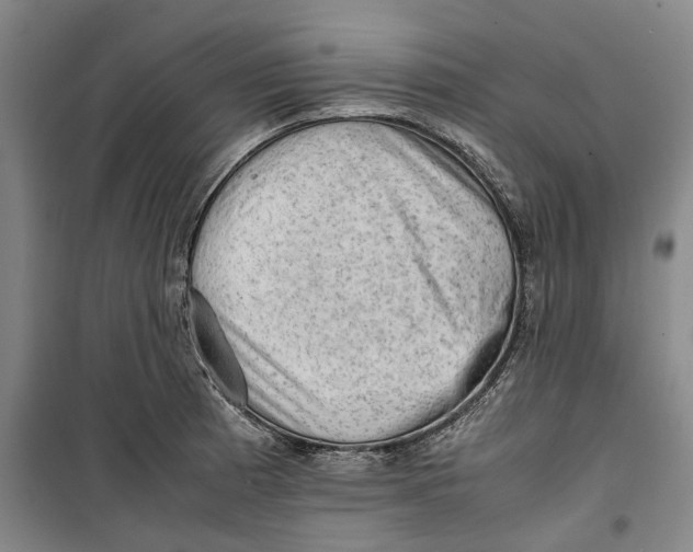 X0000099411185200805301339