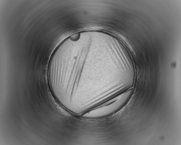 X0000099411186200805301339