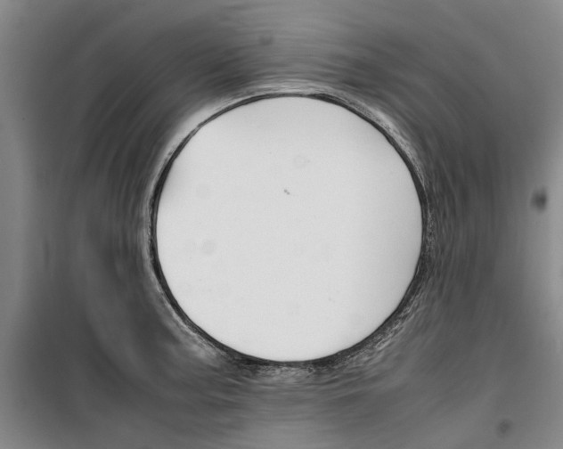 X0000099411187200805301339