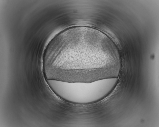 X0000099411188200805301339