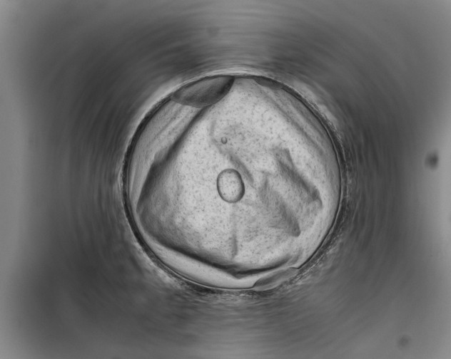 X0000099411189200805301339