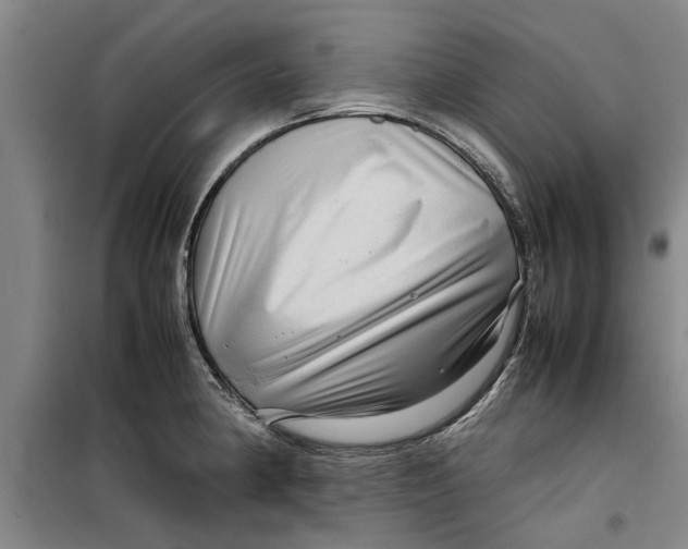 X0000099411190200805301339