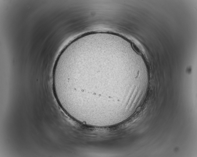 X0000099411191200805301339