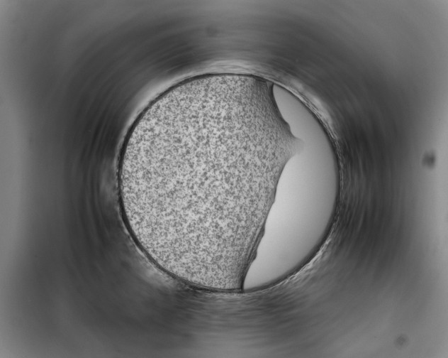 X0000099411192200805301339