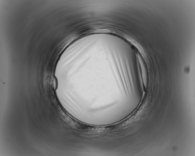 X0000099411193200805301339