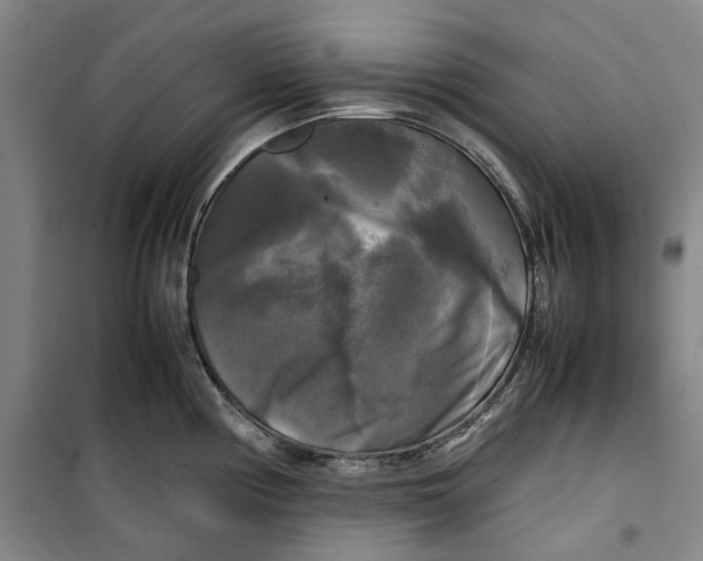 X0000099411194200805301339