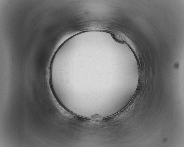 X0000099411195200805301339