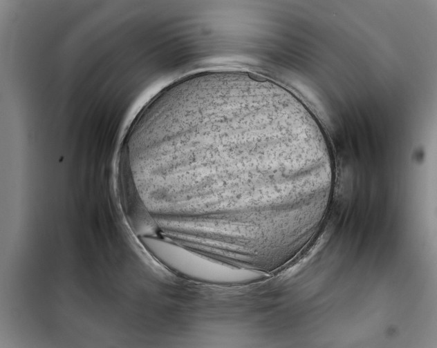 X0000099411196200805301339