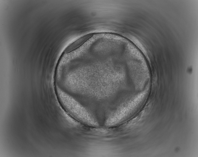 X0000099411197200805301339