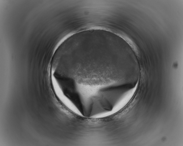 X0000099411198200805301339