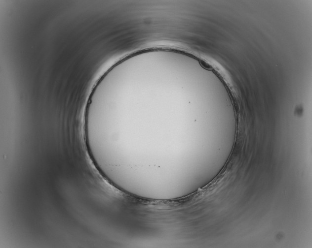 X0000099411199200805301339