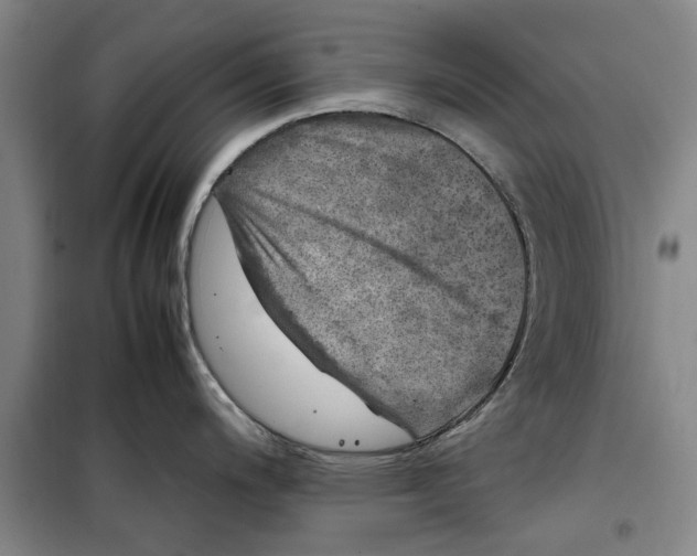 X0000099411200200805301339