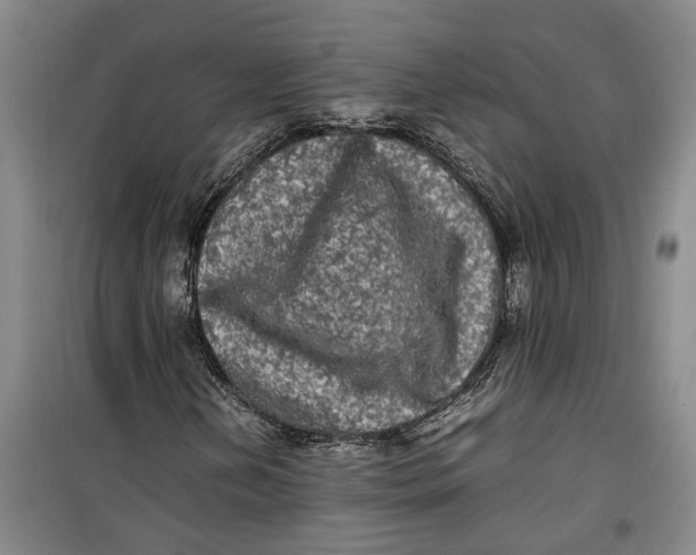 X0000099411202200805301338