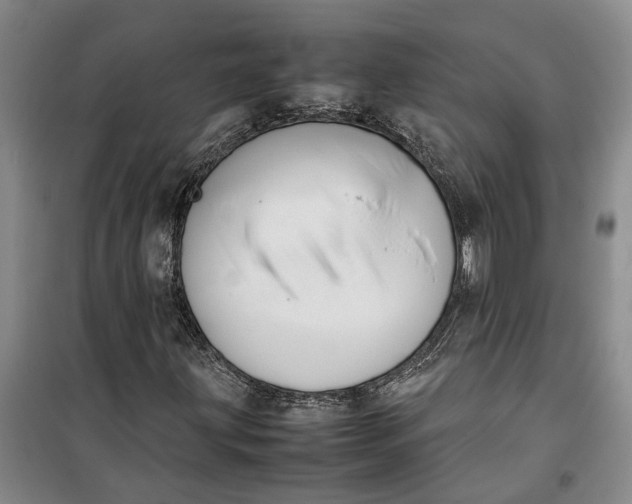 X0000099411203200805301338