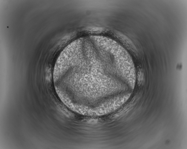 X0000099411204200805301338