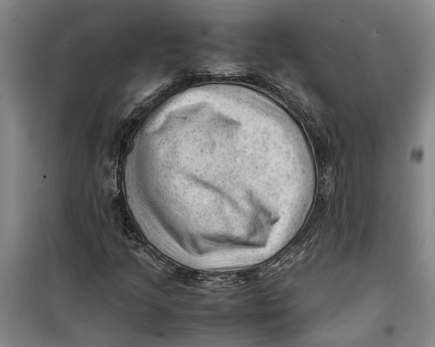 X0000099411205200805301338