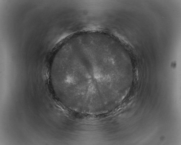 X0000099411206200805301338