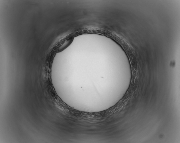 X0000099411207200805301338