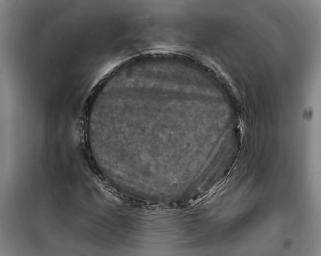 X0000099411208200805301338