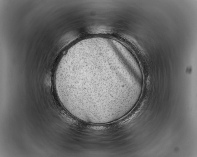 X0000099411209200805301338