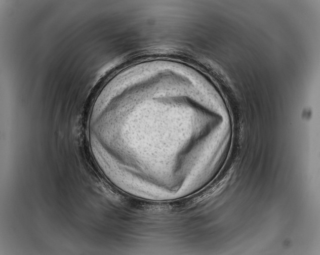 X0000099411210200805301338