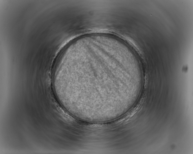 X0000099411212200805301338