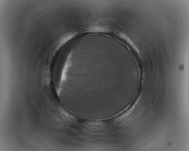 X0000099411213200805301338