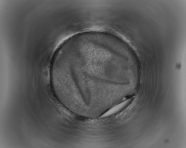 X0000099411214200805301338