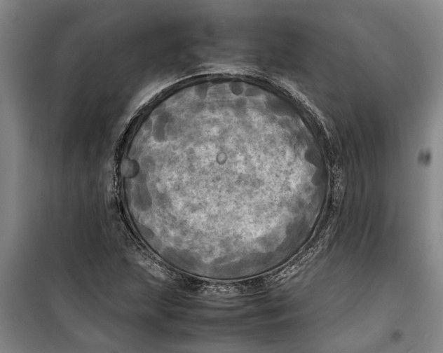 X0000099411215200805301338