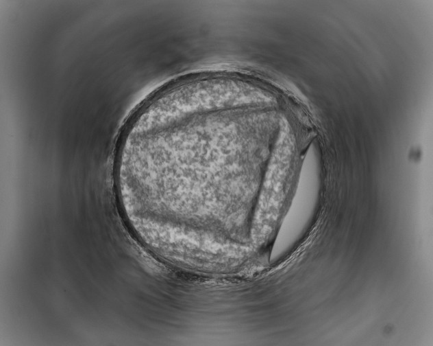 X0000099411216200805301338