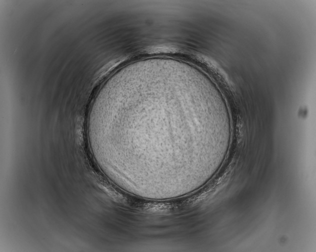 X0000099411217200805301338