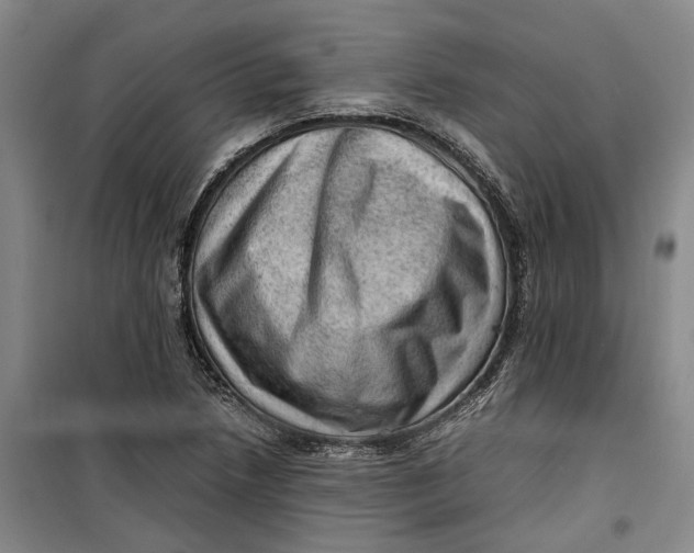 X0000099411218200805301338