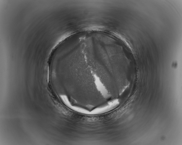 X0000099411219200805301338