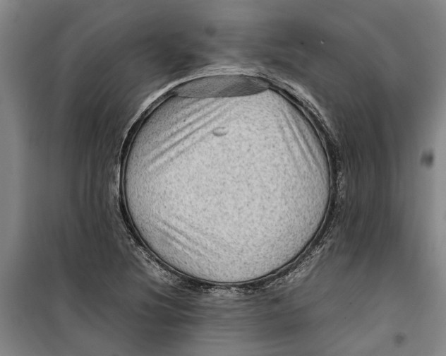 X0000099411220200805301338