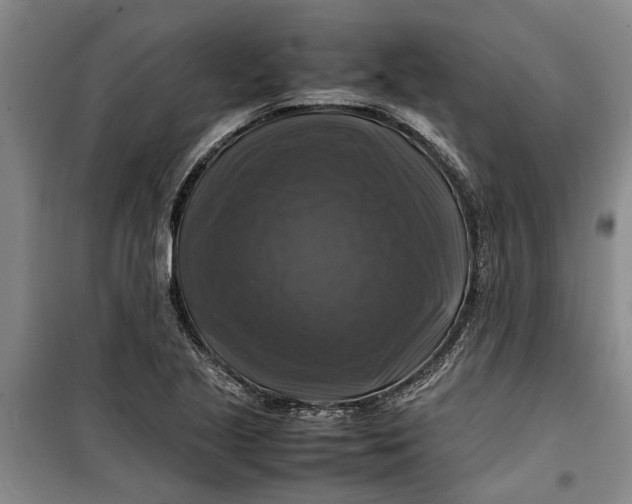 X0000099411221200805301338