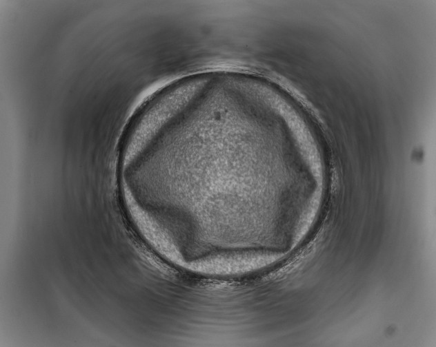 X0000099411222200805301338