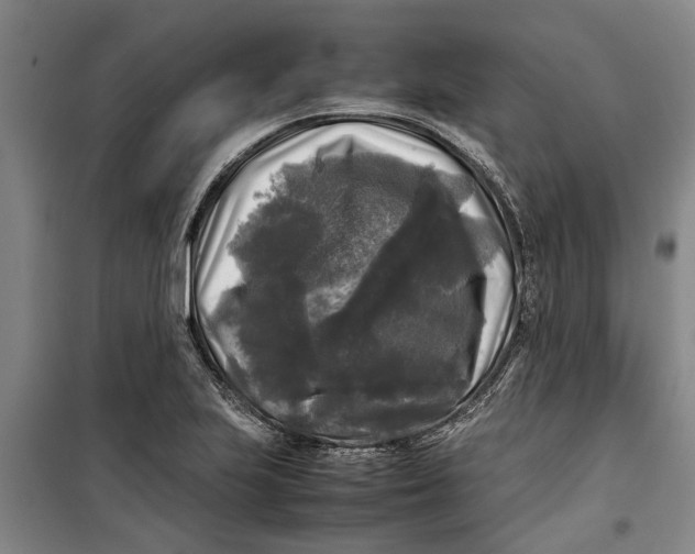 X0000099411223200805301338