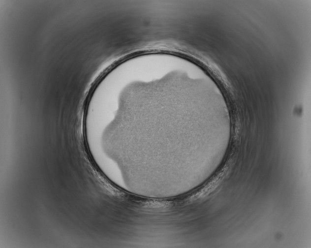 X0000099411224200805301338